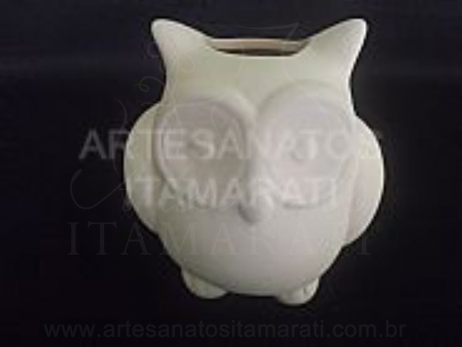 Coruja Bola Vaso Suculenta